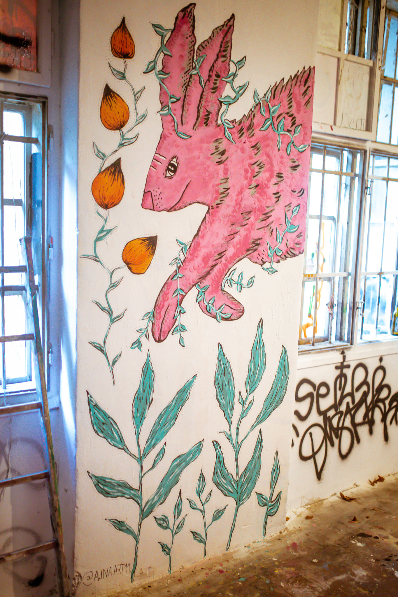 Home 244046727 3045752885752357 3644424546023186251 n