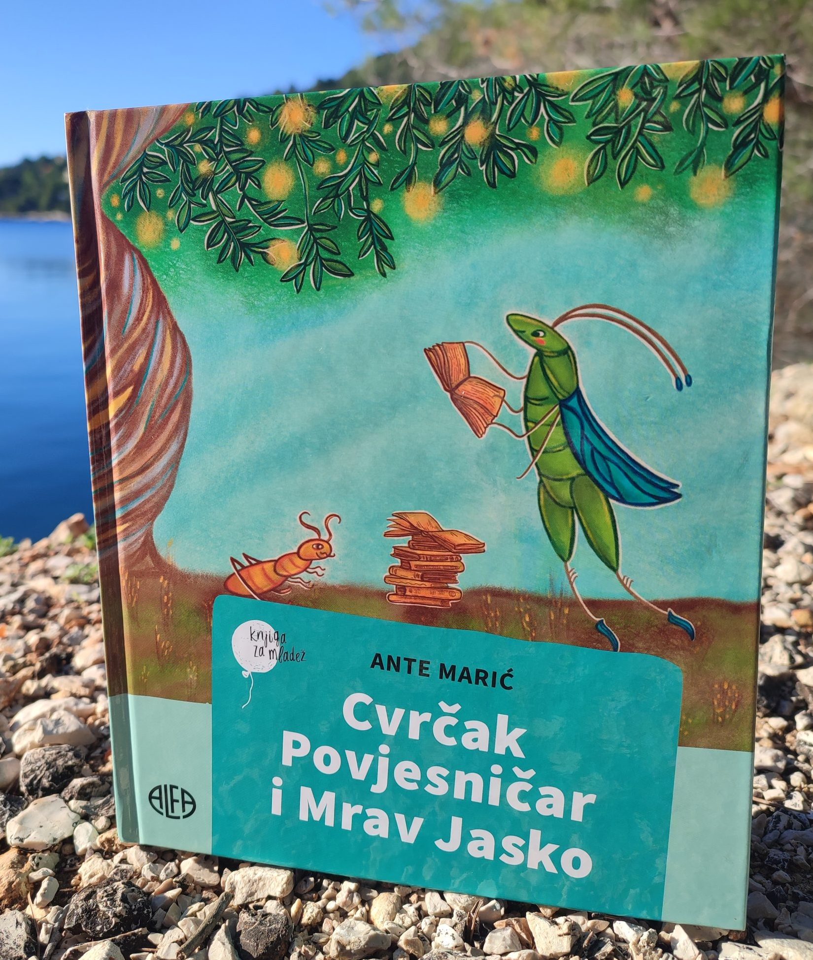 Home img 20241215 133516